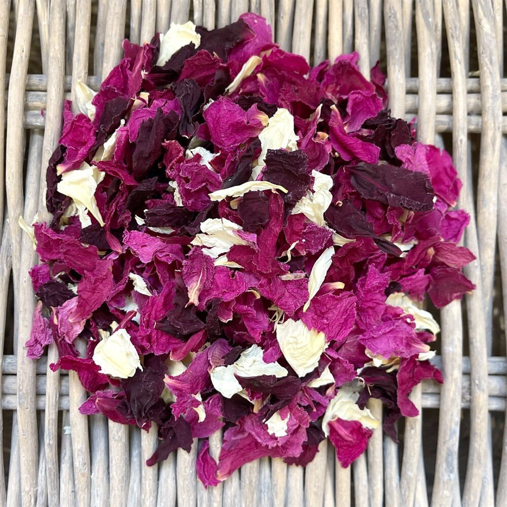 Baies D’amour  - Deep Reds/Ivory