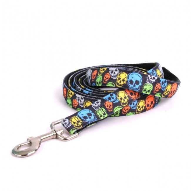 Neon Skulls" Equine Elite lijn"