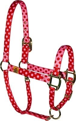 Red Pink Polka" High Fashion halster"