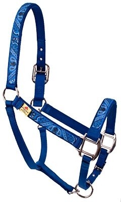 Bandana Blue" Equine Elite halster"