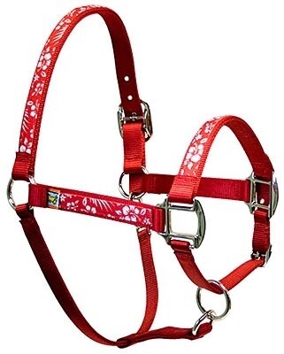 Aloha Red" Equine Elite halster"