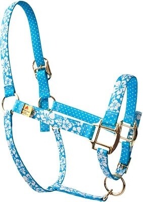 Island Floral Blue on Blue Polka" High Fashion halster"