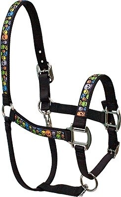 Neon Skulls" Equine Elite halster"