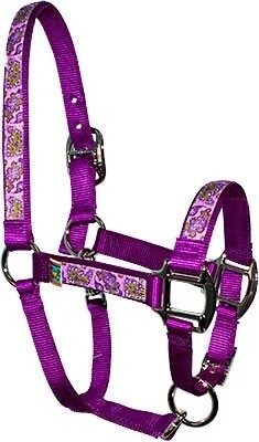 Purple Paisley" Equine Elite halster"