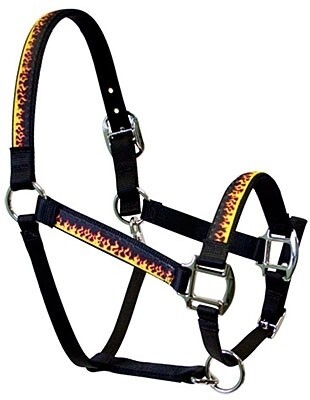 Red Flames Red Flames" Equine Elite halster"
