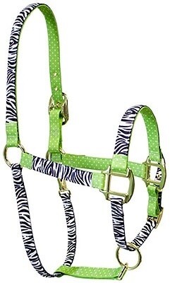 Zebra Black on Green Polka" High Fashion halster"