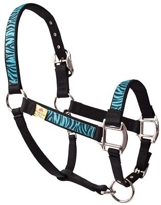 Zebra Teal Black" Equine Elite halster"
