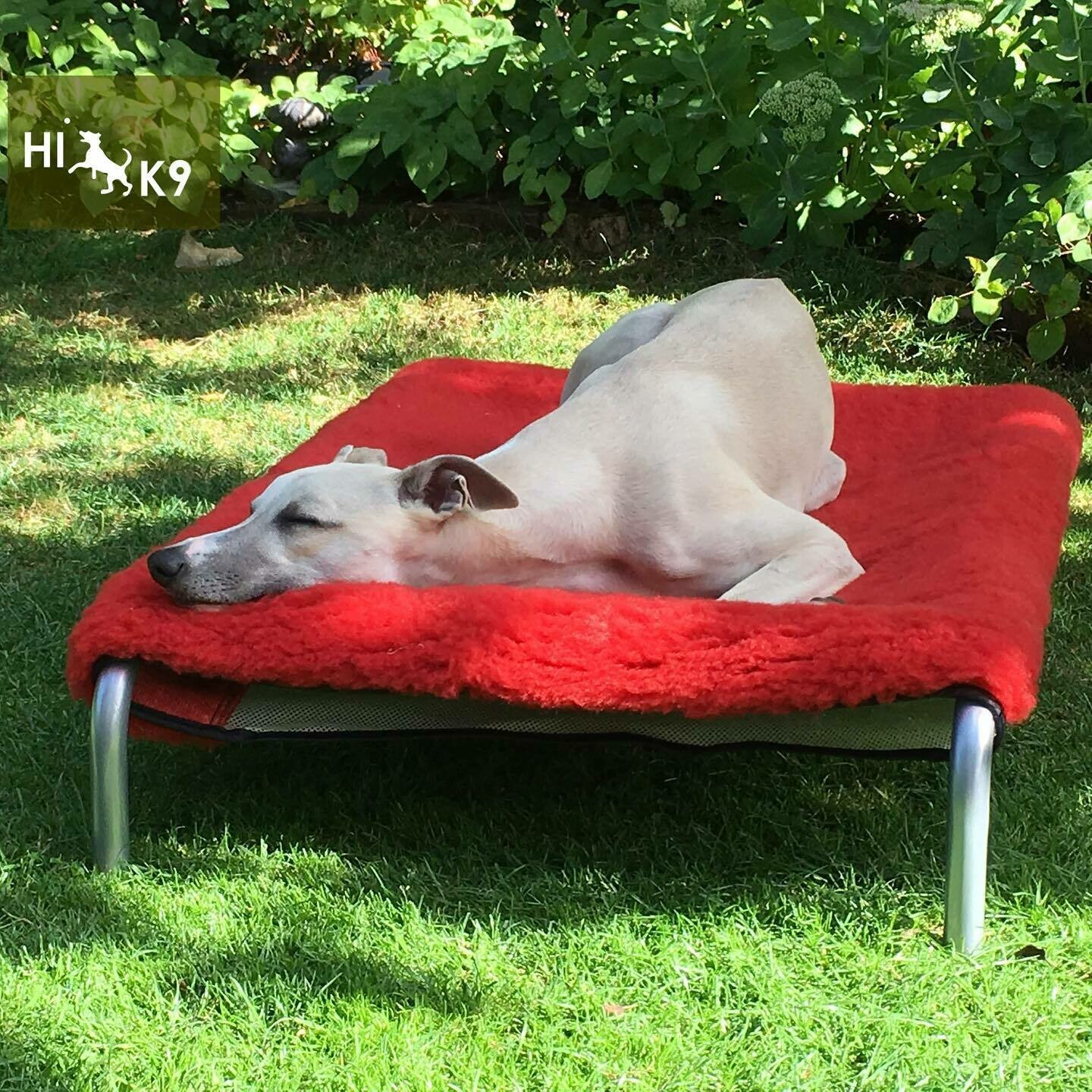 HIK9 vetbed hoes Small HIK9 vetbed hoes Small, Kleur: Rood