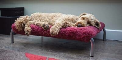 HIK9 vetbed hoes Medium HIK9 vetbed hoes Medium