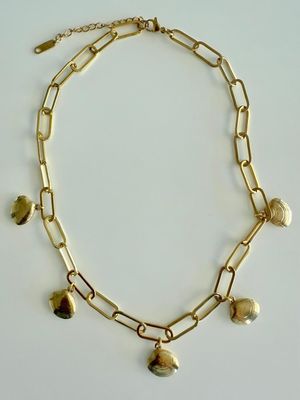 Golden Shell 