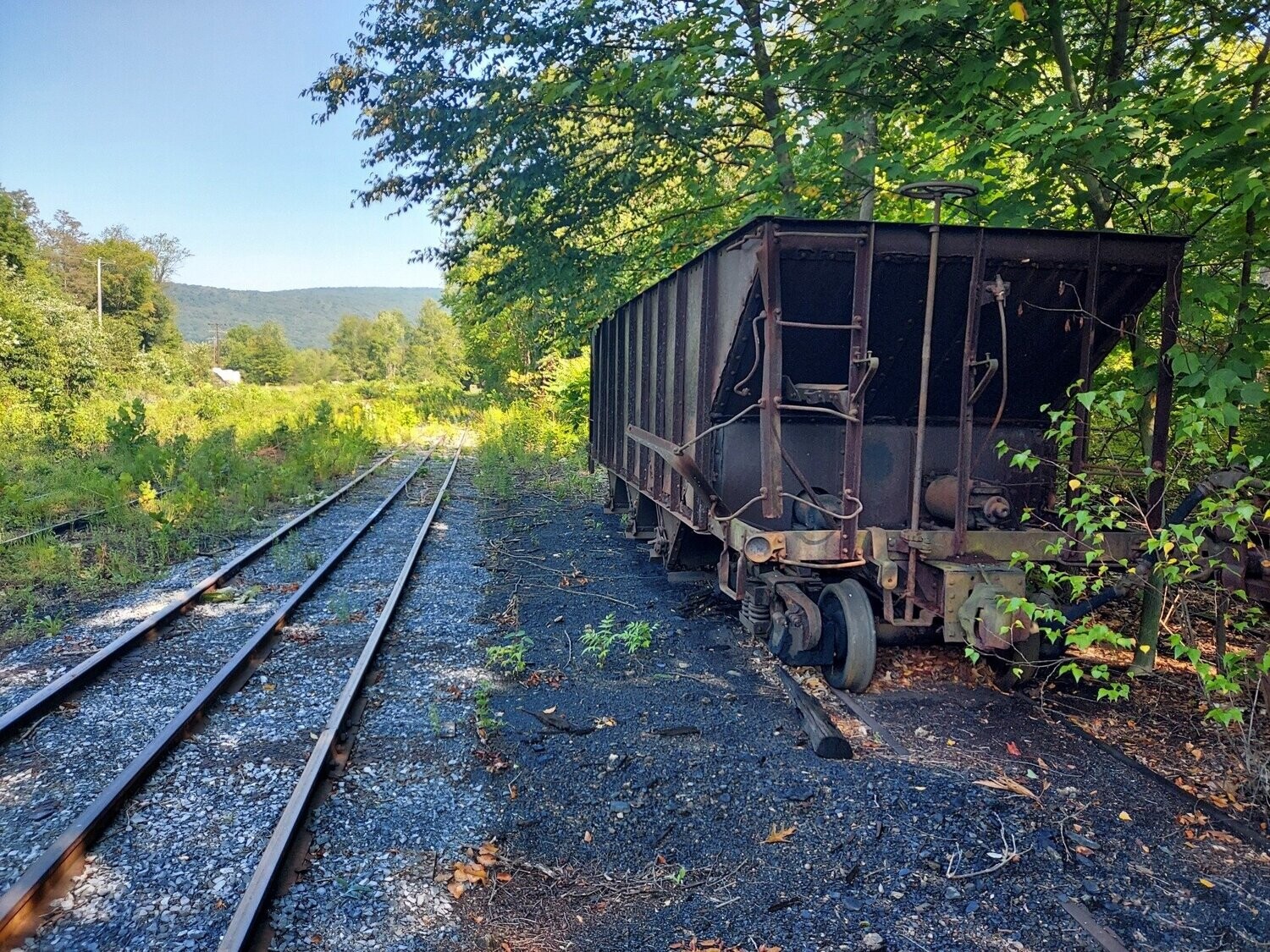 3 foot gauge hopper cars for sale