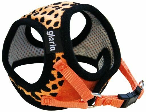 Oranje Leopard 20-25cm Oranje Leopard 20-25cm