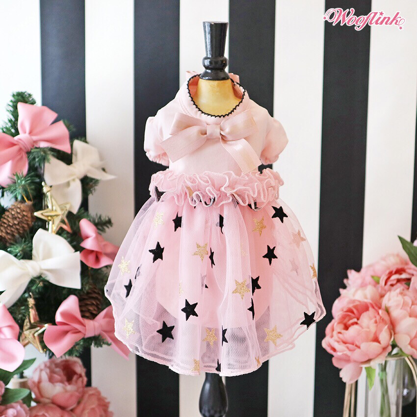 Little Stars Little Stars