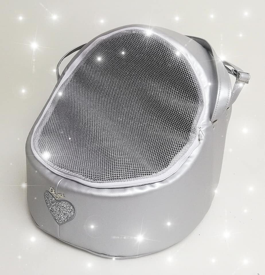 Car Igloo S2 Car Igloo S2