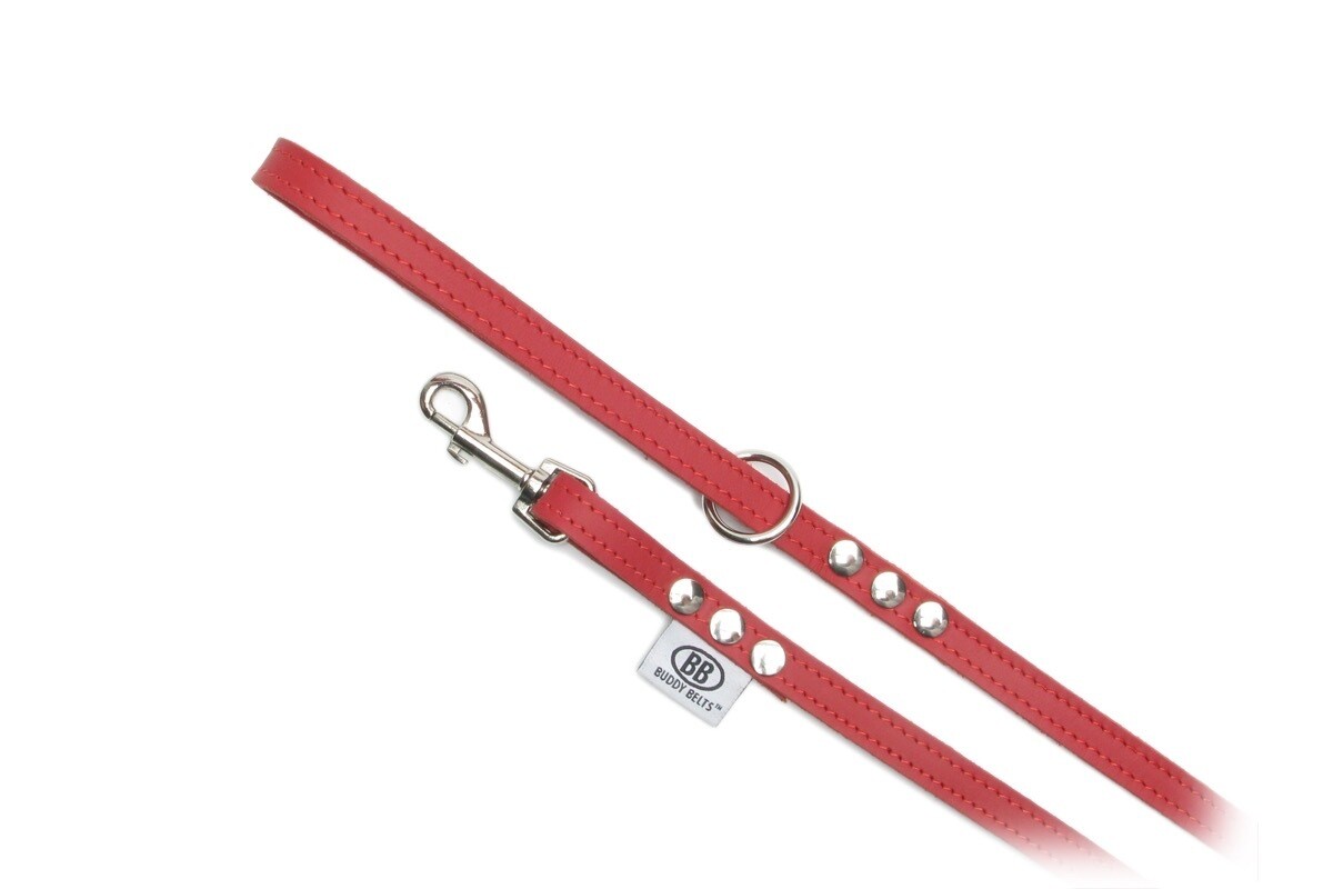 Buddy Belts Red premium leash Buddy Belts Red premium leash