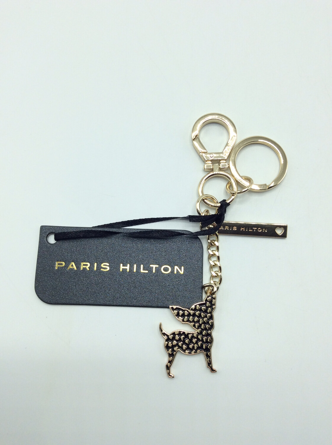 Paris Hilton chihuahua black Paris Hilton chihuahua black