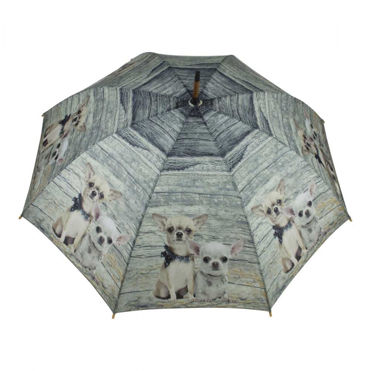 Paraplu Teak 2 Chihuahuas Paraplu Teak 2 Chihuahuas
