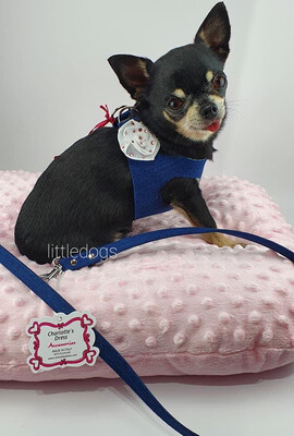 Susie special jeans harness´´
