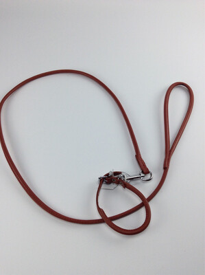 Cloe 25cm + leash