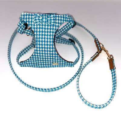 Pepita Turquoise + leash 