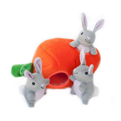 Bunny ‘n carrot