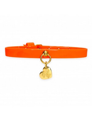 Plain collar fluo orange 30cm