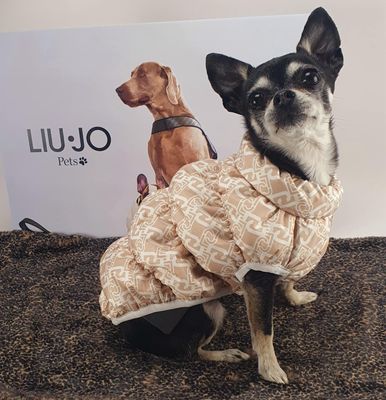 Liu Jo