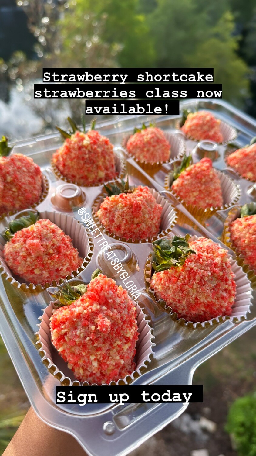 Strawberry shortcake strawberry class (Pre recorded)