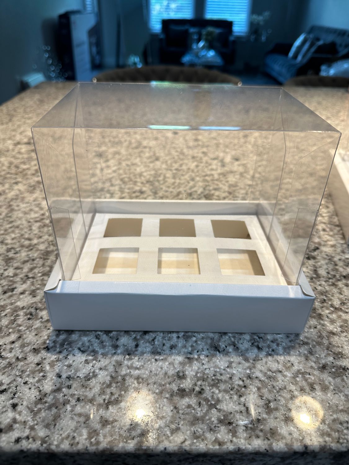 Dessert shooter boxes/ Bento cake boxes