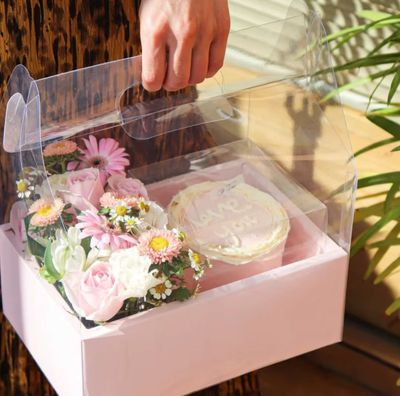 Clear bento treat box