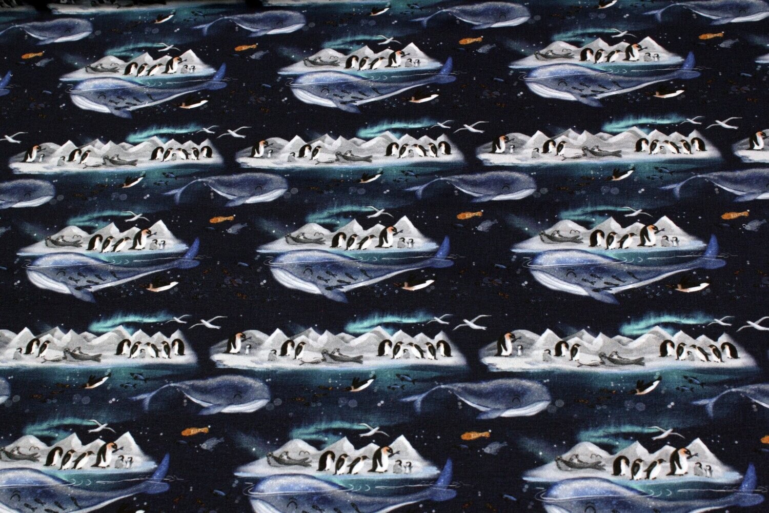 French Terry Polarmeer