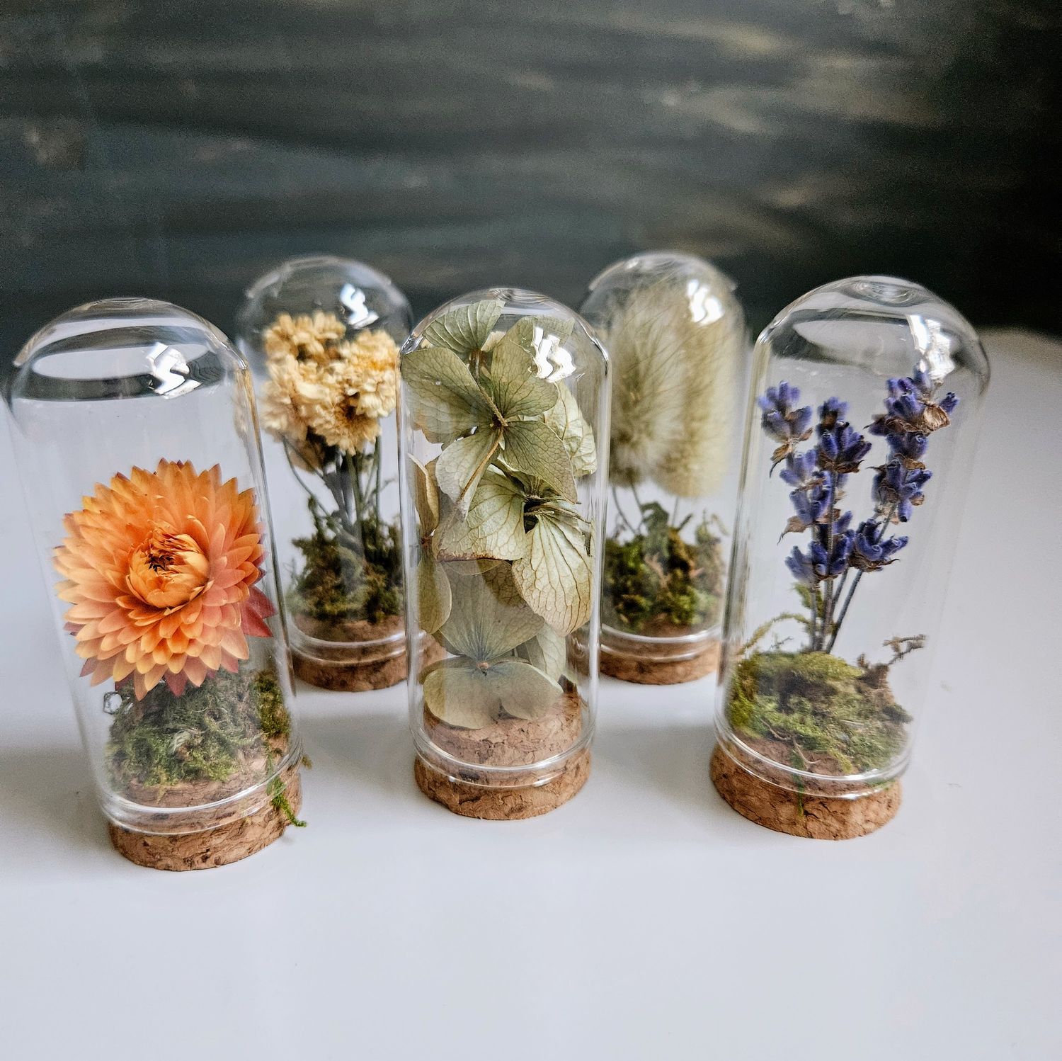 Love in a Bottle – Mini Dried Flower Curio