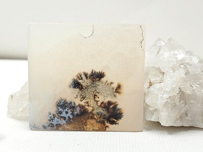 Dentritic Agate