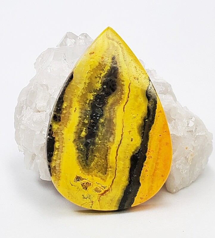 Bumblebee Jasper