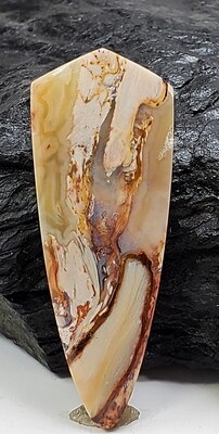 Red Fire Palm Root