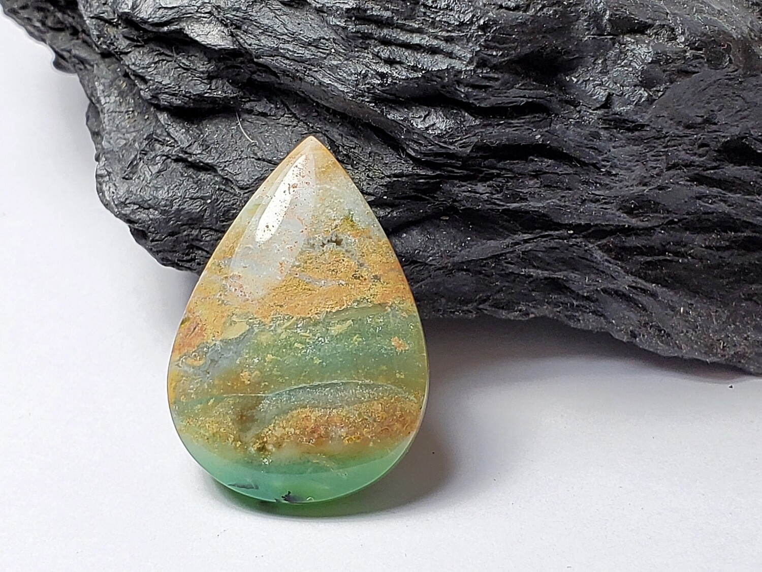 Blue Opalized Wood