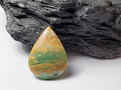 Blue Opalized Wood