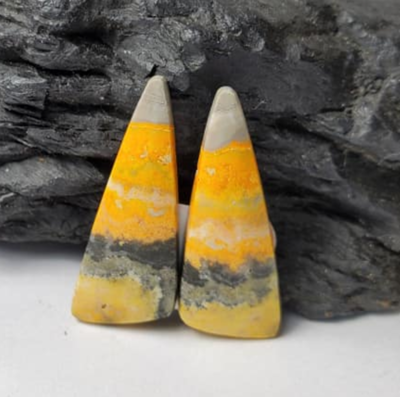 Bumble Bee Jasper