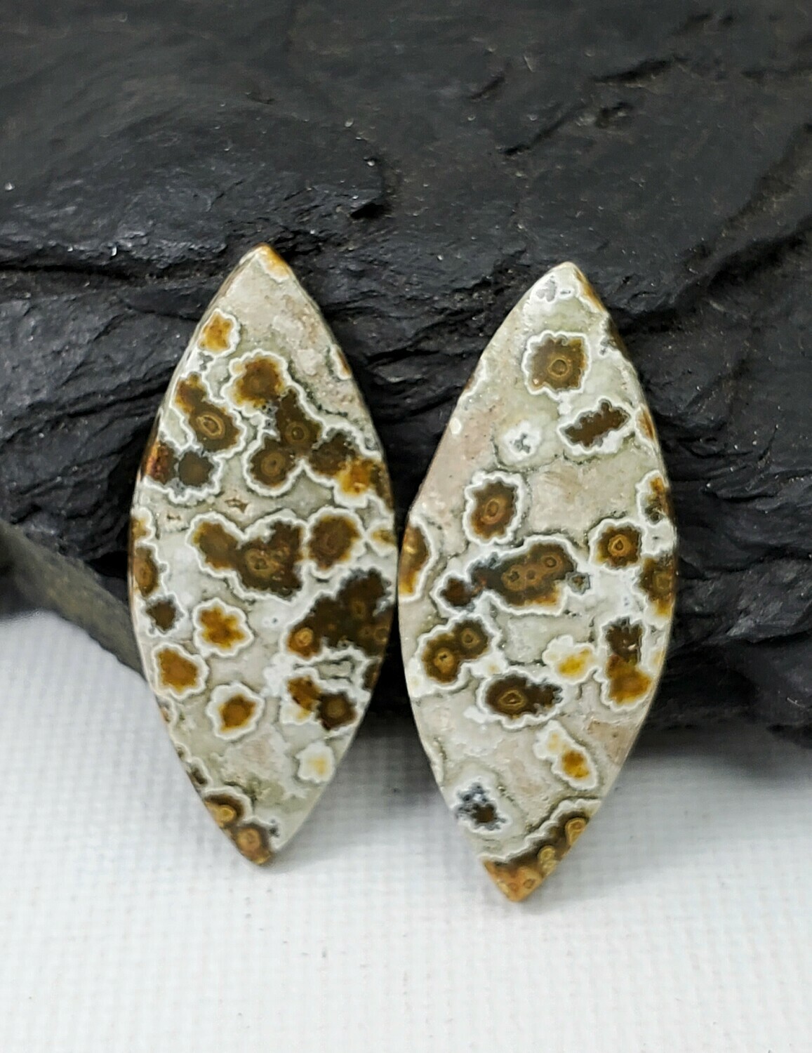 ​Ocean Jasper Earring pair