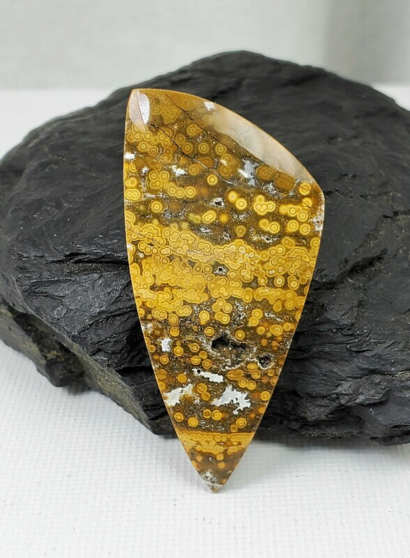 ​Ocean Jasper