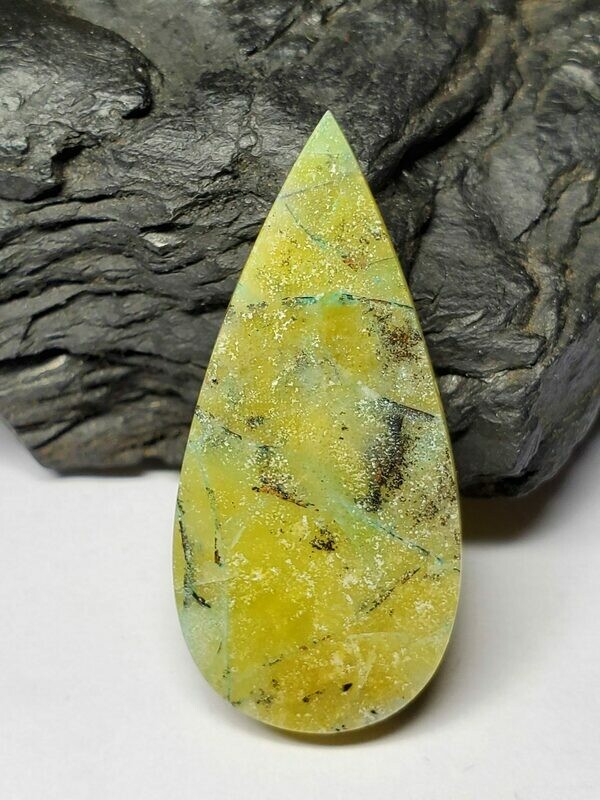 Blue Opalized Wood
