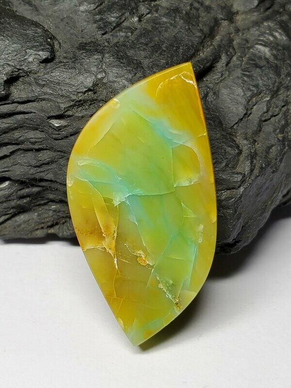 Blue Opalized Wood