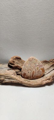 Red Palm Agate