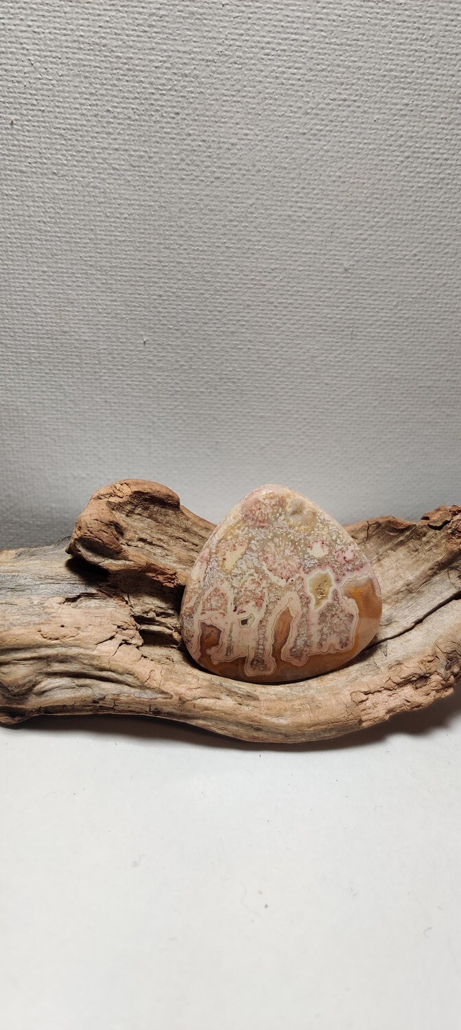 Red Palm Agate