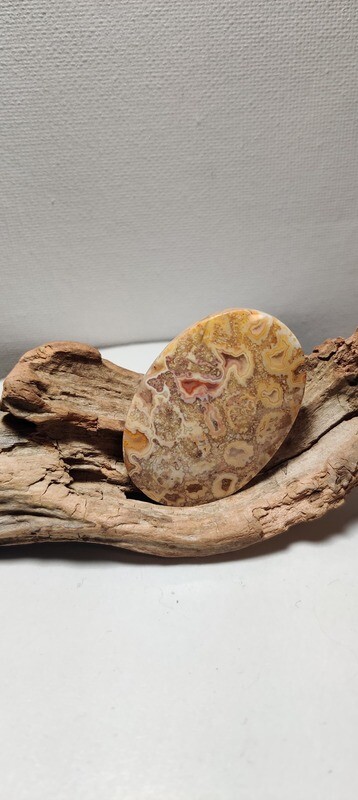 Red Palm Agate