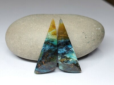 Earring Pair