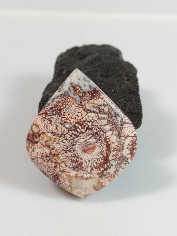 Rhyolite / Birds Eye