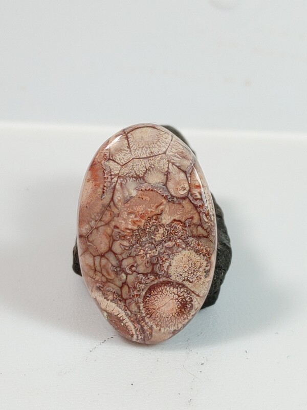 Rhyolite / Birds Eye