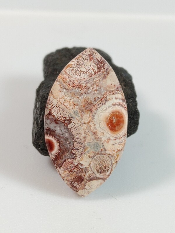 Rhyolite (Bird's Eye)