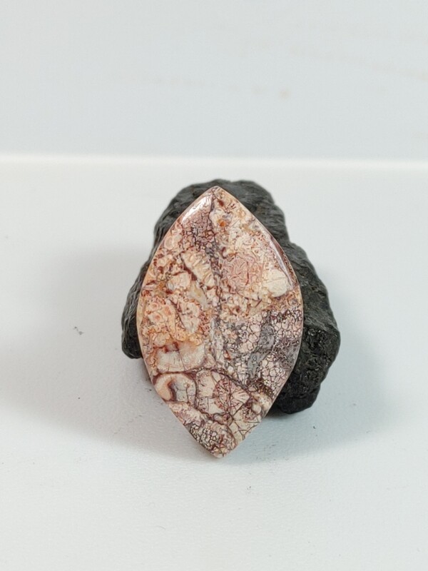 Rhyolite / Birds Eye